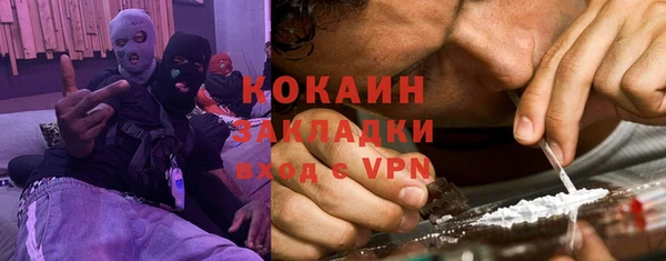 шишки Кодинск