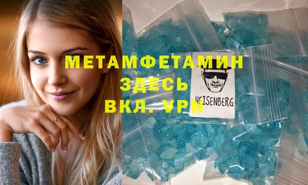 шишки Кодинск