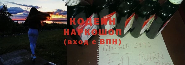 шишки Кодинск