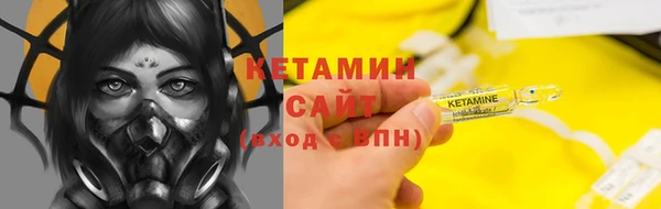 шишки Кодинск