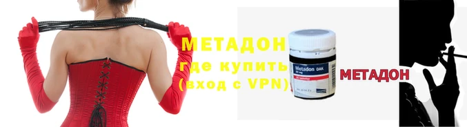 шишки Кодинск