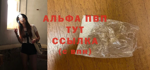 шишки Кодинск