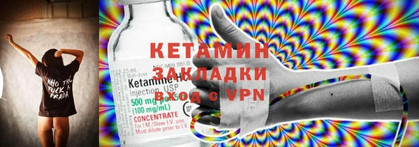 шишки Кодинск