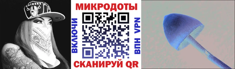 Галлюциногенные грибы Psilocybe  Купить  Апрелевка 